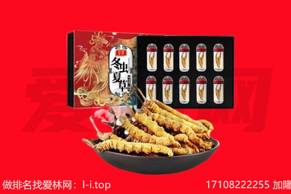 吉安新干县回收虫草.jpg